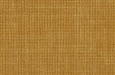 mustard-6.jpg