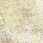 new-madagaskar-a85.jpg