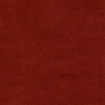 terra-11565.jpg